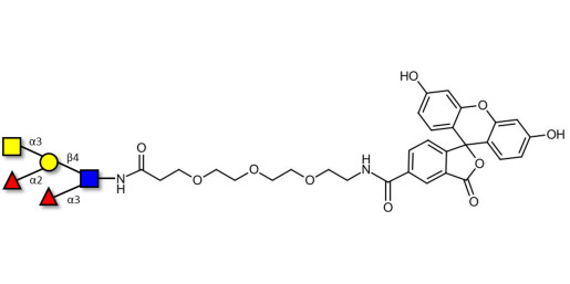 Blood group A Lewis y antigen pentaose type 2 linked to fluorescein (Linker-FLUO B)