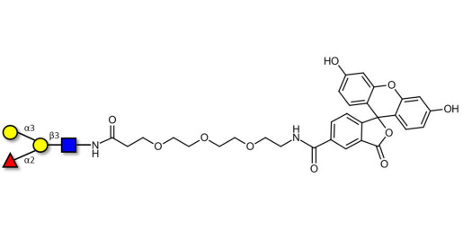 Blood group B antigen tetraose type 1 linked to fluorescein (Linker-FLUO B) - Blood Group B tetrasaccharide type I
