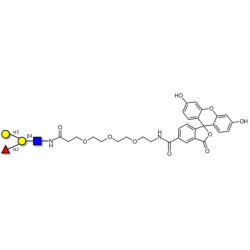 Blood group B antigen tetraose type 2 linked to fluorescein (Linker-FLUO B)