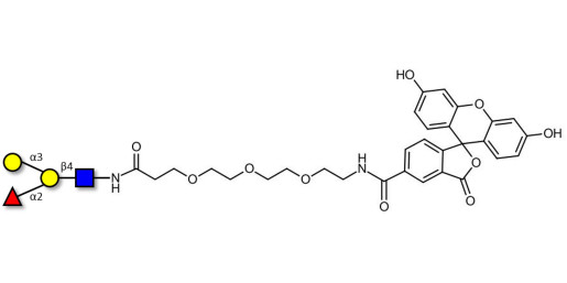 Blood group B antigen tetraose type 2 linked to fluorescein (Linker-FLUO B) - Blood Group B tetrasaccharide type II 