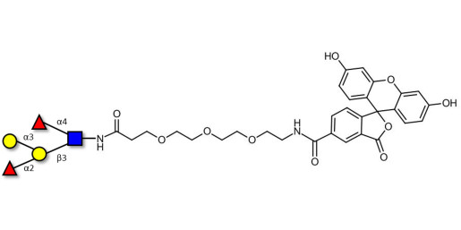 Blood group B Lewis b antigen pentaose type 1 linked to fluorescein (Linker-FLUO B)