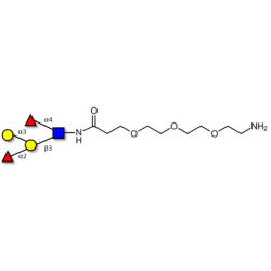 Blood group B Lewis b antigen pentaose type 1 with free terminal amine (Linker-NH2 F)