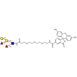 Blood group B Lewis y antigen pentaose type 2 linked to fluorescein (Linker-FLUO B)