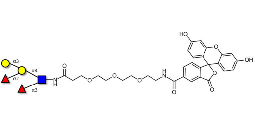 Blood group B Lewis y antigen pentaose type 2 linked to fluorescein (Linker-FLUO B)