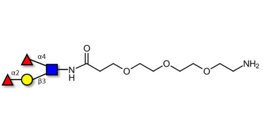 Lewis b (Leb) tetraose with free terminal amine (Linker-NH2 F) - Lewis B tetrasaccharide ; LBT