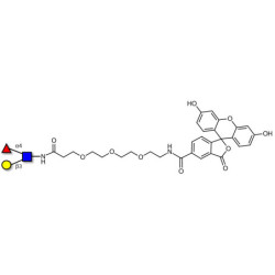 Lewis a (Lea) triose linked to fluorescein (Linker-FLUO B)
