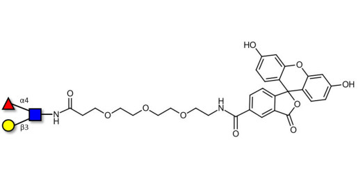 Lewis a (Lea) triose linked to fluorescein (Linker-FLUO B) - Lewis A trisaccharide