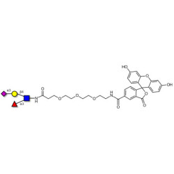 Sialyl Lewis x (sLex) tetraose linked to fluorescein (Linker-FLUO B)