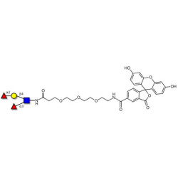 Lewis y (Ley) tetraose linked to fluorescein (Linker-FLUO B)