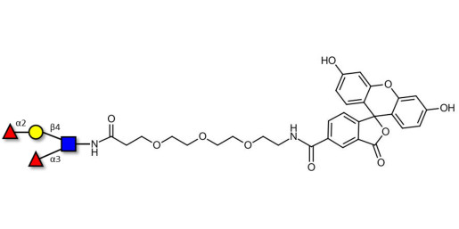 Lewis y (Ley) tetraose linked to fluorescein (Linker-FLUO B) - Lewis Y tetrasaccharide