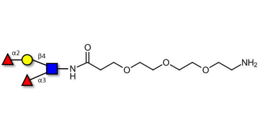 Lewis y (Ley) tetraose with free terminal amine (Linker-NH2 F) - Lewis Y tetrasaccharide