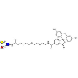 Lewis x (Lex) triose linked to fluorescein (Linker-FLUO B)