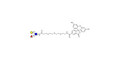 Lewis x (Lex) triose linked to fluorescein (Linker-FLUO B) - SSEA-1 ; CD15 ; Lewis X trisaccharide