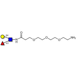 Lewis x (Lex) triose with free terminal amine (Linker-NH2 F)