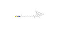 Xeno antigen type 1 / Blood group B antigen triose type 1 linear linked to fluorescein (Linker-FLUO B)