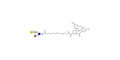 Xeno lewis x / α-Gal-Lewis x  linked to fluorescein (Linker-FLUO B)