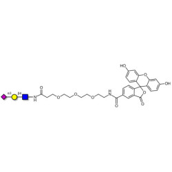 3'-α-sialyl-Acetyl-Lactosamine (3'SIA-LN) linked to fluorescein (Linker-FLUO B)