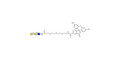 P1 antigen linked to fluorescein (Linker-FLUO B) - Globotriose analogue type 2