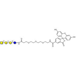 Isoglobotetraose (iGb4) linked to fluorescein (Linker-FLUO B)