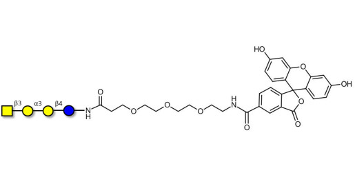 Isoglobotetraose (iGb4) linked to fluorescein (Linker-FLUO B) - Cytolipin R; Globoisotetraose