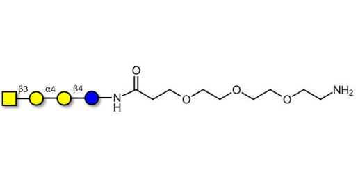 Globotetraose (Gb4) with free terminal amine (Linker-NH2 F) - P antigen ; Globo-N-Tetraose