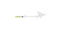 Globopentaose (Gb5) / Stage Specific Embryonic Antigen 3a (SSEA-3a) linked to fluorescein (Linker-FLUO B)