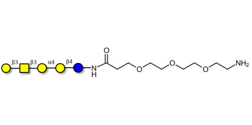 Globopentaose (Gb5) / Stage Specific Embryonic Antigen 3a (SSEA-3a) with free terminal amine (Linker-NH2 F)