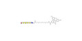 Globo-H hexaose / Stage Specific Embryonic Antigen 3b (SSEA-3b) linked to fluorescein (Linker-FLUO B) - Globo-H hexasaccharide