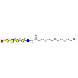 Globo-H hexaose / Stage Specific Embryonic Antigen 3b (SSEA-3b) with free terminal amine (Linker-NH2 F)
