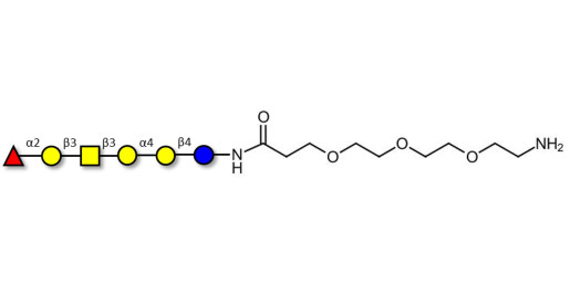 Globo-H hexaose / Stage Specific Embryonic Antigen 3b (SSEA-3b) with free terminal amine (Linker-NH2 F) - Globo-H hexasaccharide
