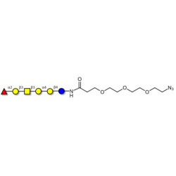 Globo-H hexaose / Stage Specific Embryonic Antigen 3b (SSEA-3b) with free terminal azide (Linker-N3 C)
