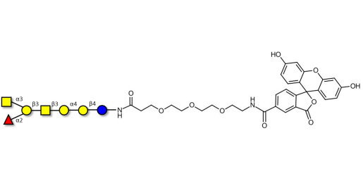 Globo-A heptaose linked to fluorescein (Linker-FLUO B)
