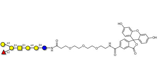 Globo-B heptaose linked to fluorescein (Linker-FLUO B)