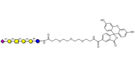 Stage-Specific Embryonic Antigen-4 hexaose (SSEA-4 hexaose) linked to fluorescein (Linker-FLUO B) - SSEA-4