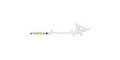 Stage-Specific Embryonic Antigen-4 hexaose (SSEA-4 hexaose) linked to fluorescein (Linker-FLUO B) - SSEA-4