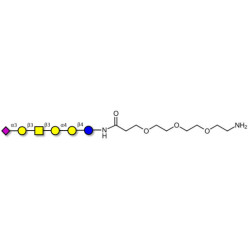 Stage-Specific Embryonic Antigen-4 hexaose (SSEA-4 hexaose) with free terminal amine (Linker-NH2 F)