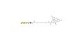 Forssman antigen pentaose linked to fluorescein (Linker-FLUO B)