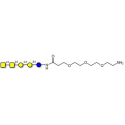 Forssman antigen pentaose with free terminal amine (Linker-NH2 F)