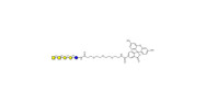Isoforssman antigen...