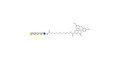 Isoforssman antigen pentaose linked to fluorescein (Linker-FLUO B)