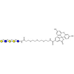 Globopentaose (Gb5) analogue type 1 linked to fluorescein (Linker-FLUO B)