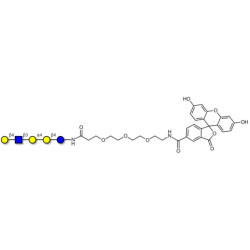 Globopentaose (Gb5) analogue type 2 linked to fluorescein (Linker-FLUO B)