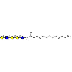 Globopentaose (Gb5) analogue type 2 with free terminal amine (Linker-NH2 F)