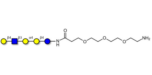 Globopentaose (Gb5) analogue type 2 with free terminal amine (Linker-NH2 F) - Gb5 analogue type 2