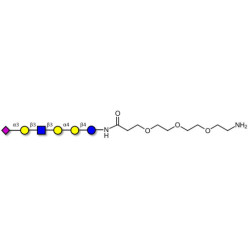 Stage-Specific Embryonic Antigen-4 (SSEA-4) hexaose analogue type 1 with free terminal amine (Linker-NH2 F)