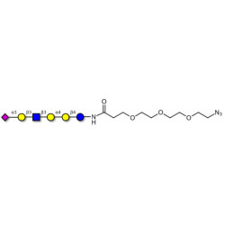 Stage-Specific Embryonic Antigen-4 (SSEA-4) hexaose analogue type 1 with free terminal azide (Linker-N3 C)