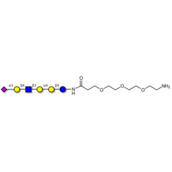 Stage-Specific Embryonic Antigen-4 (SSEA-4) hexaose analogue type 2 with free terminal amine (Linker-NH2 F)