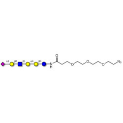 Stage-Specific Embryonic Antigen-4 (SSEA-4) hexaose analogue type 2 with free terminal azide (Linker-N3 C)