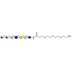 Sialylated Stage-Specific Embryonic Antigen-4 (SSEA-4) hexaose analogue type 1 with free terminal amine (Linker-NH2 F)