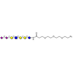 Sialylated Stage-Specific Embryonic Antigen-4 (SSEA-4) hexaose analogue type 1 with free terminal azide (Linker-N3 C)